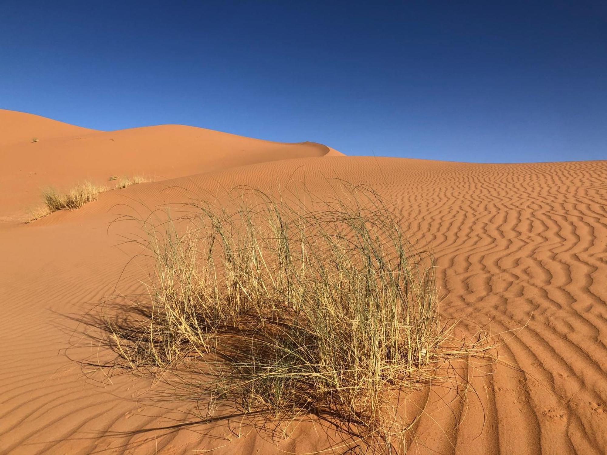 Bivouac Le Petit Prince Merzouga Ngoại thất bức ảnh