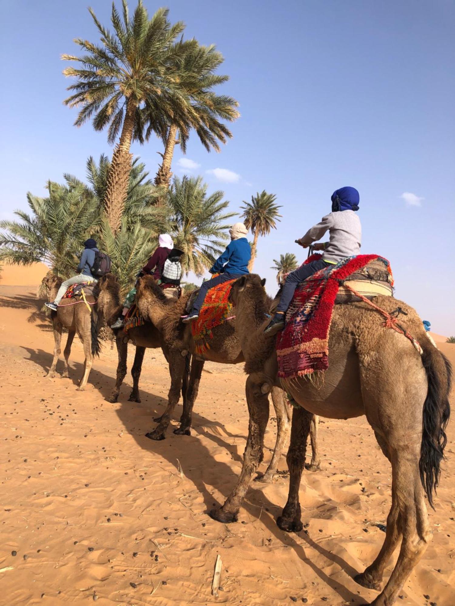 Bivouac Le Petit Prince Merzouga Ngoại thất bức ảnh